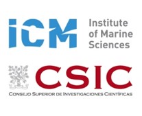 ICM CSIC